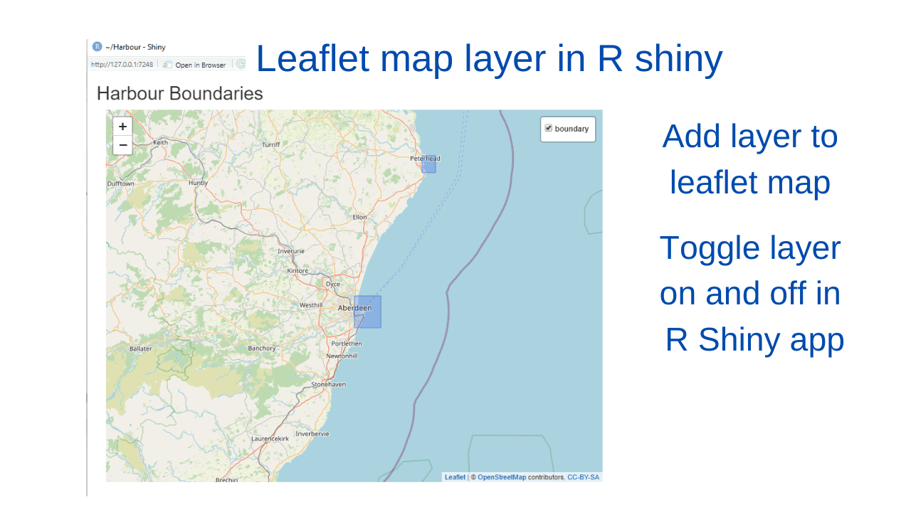 R shiny leaflet map layers